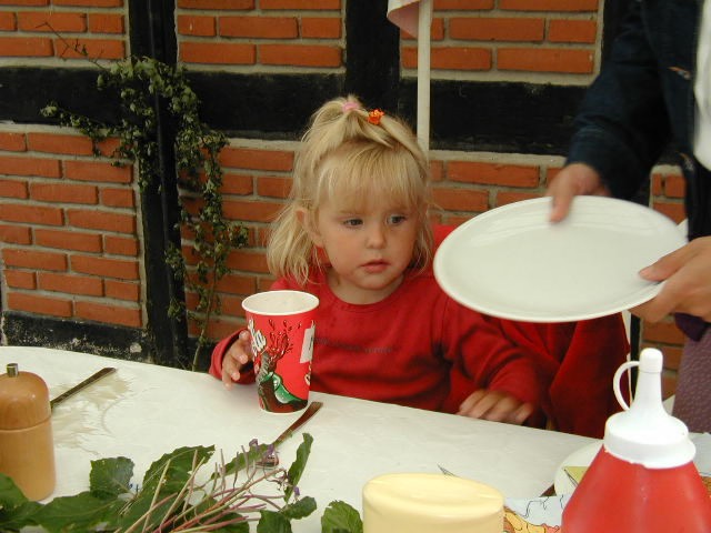 032.JPG