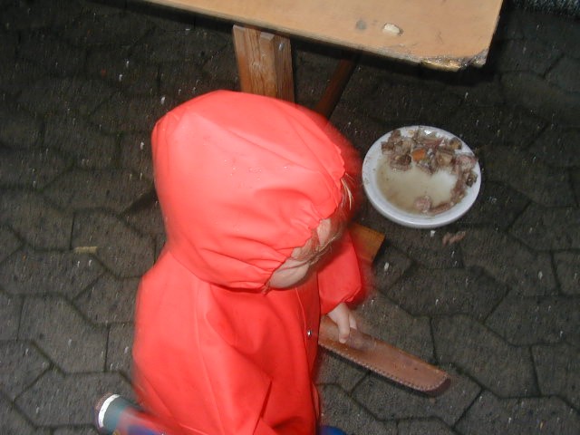 054.JPG
