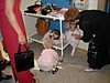 P8110039.JPG