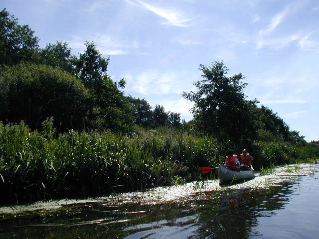 P8180020.JPG
