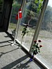 P6210001.JPG