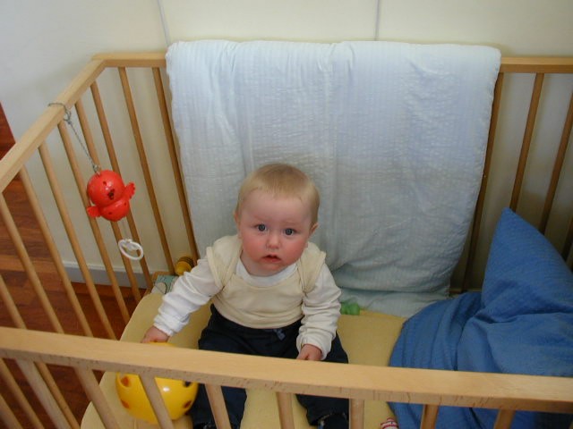 P5300014.jpg