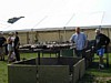 P8250001.JPG