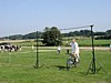 P8250048.JPG