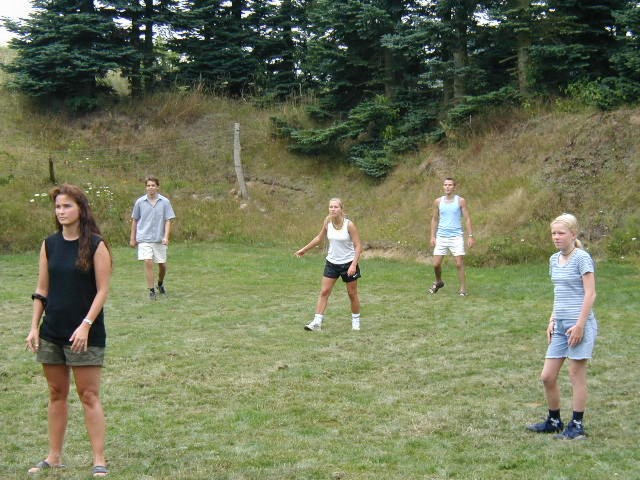 042.JPG