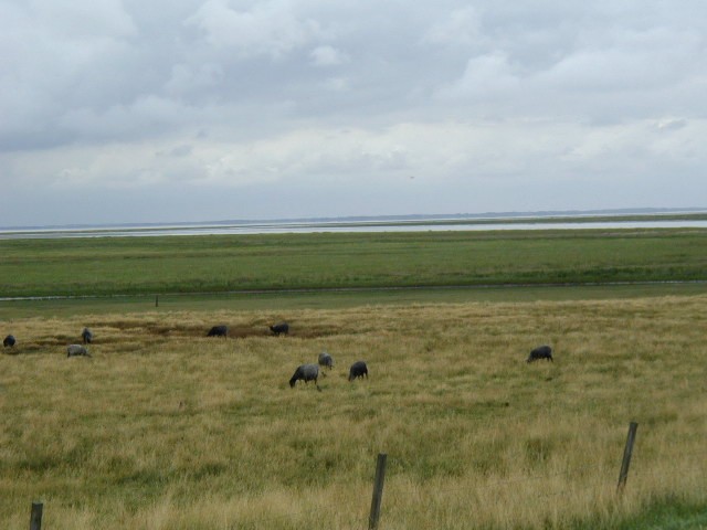 P7310009.JPG