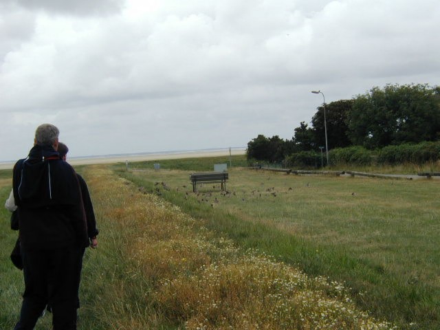 P7310013.JPG