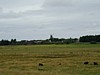 P7310008.JPG