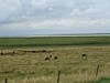 P7310009.JPG