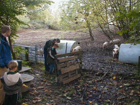 PA070034.JPG