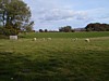 PA070032.JPG