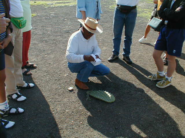 20-6-00 Teotithuacán