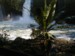 24-6-00 Vandfald i naturpark