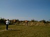P1010062.JPG