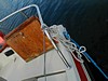 PA220022.JPG