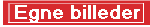 PRIVATE BILLEDER